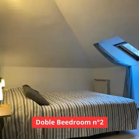 A 50m Dai Mercatini Di Natale Daire *